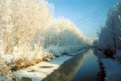 09